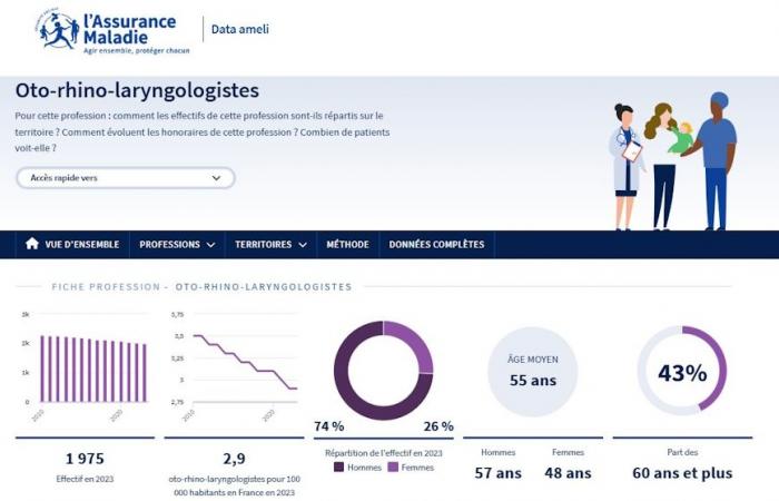 Fees, patient base: more data on health professions on Data Ameli