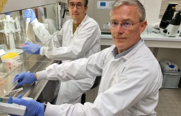 Dijon. Two Dijon researchers rewarded by the League Against Cancer