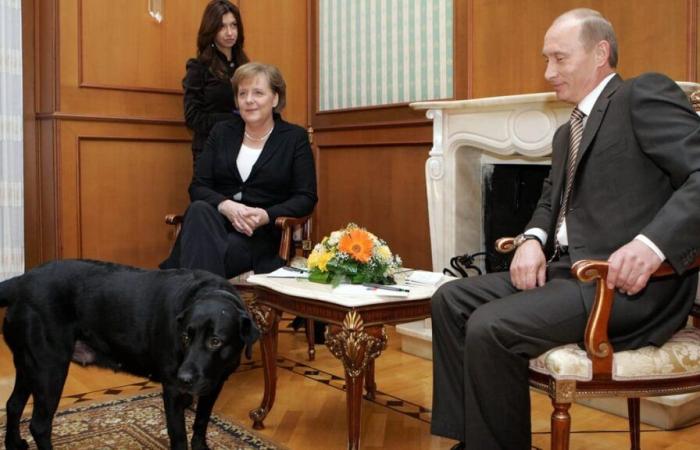 Merkel once judged Vladimir Putin so harshly