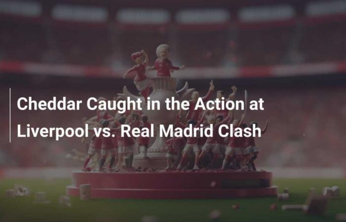 Cheddar Caught in Action During the Liverpool vs. Match real Madrid