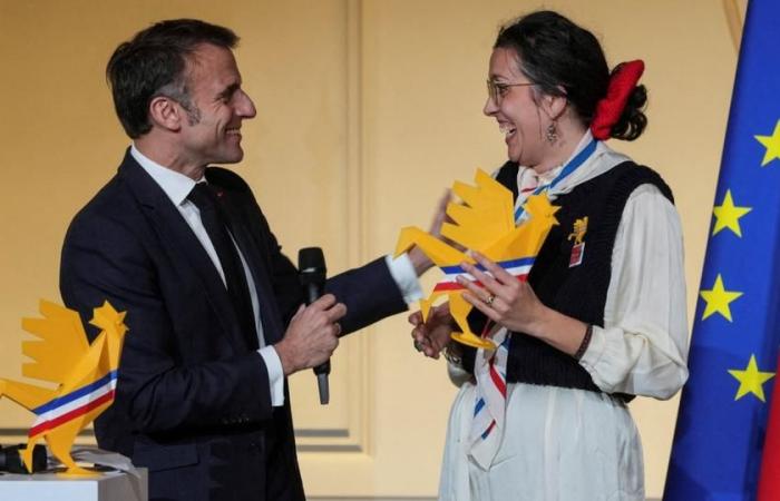 Emmanuel Macron welcomes at the Elysée the “diversity” of talents in the neighborhoods