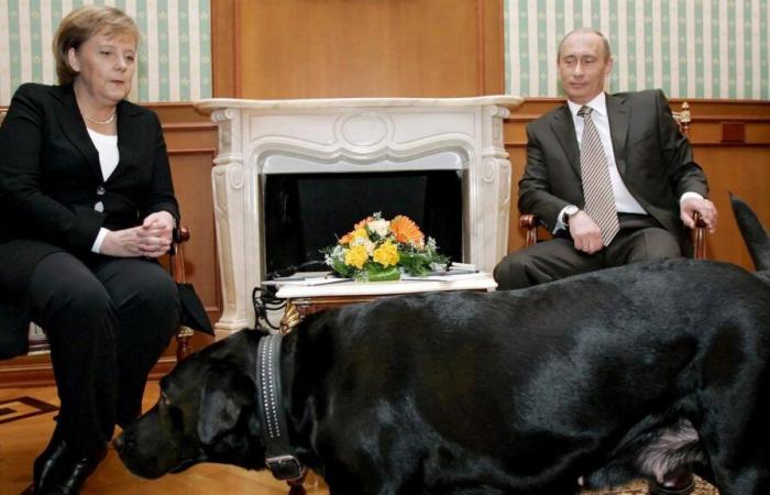 After 17 years, Putin apologizes to Merkel for bringing his dog