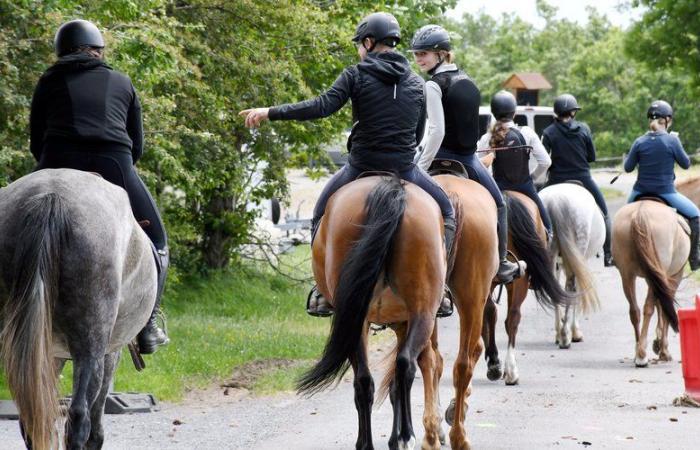 “I think it would not take me a lifetime to tour the department”: for 4 years, she has been visiting the corners of Aude on horseback