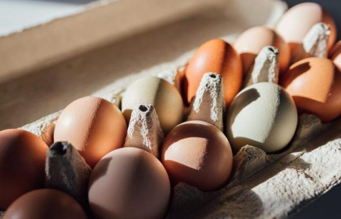 Costco Organic Eggs Recalled Over Salmonella Risk