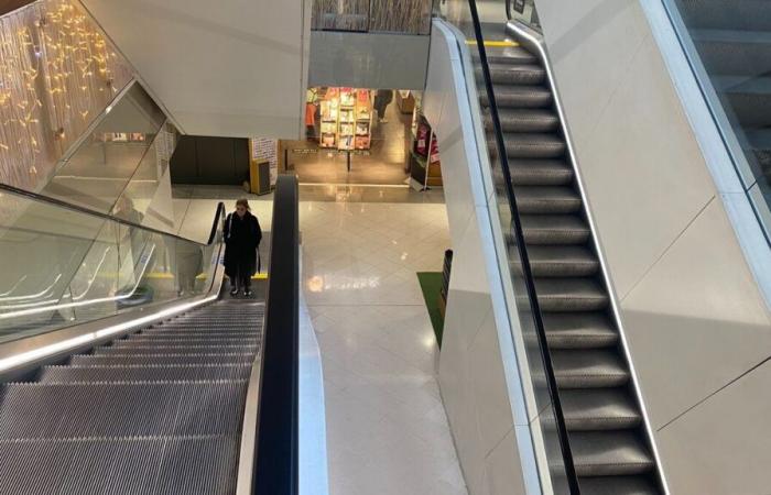 “People were shouting Stop! »: in Paris, a child falls from an escalator while trying to reproduce a TikTok video