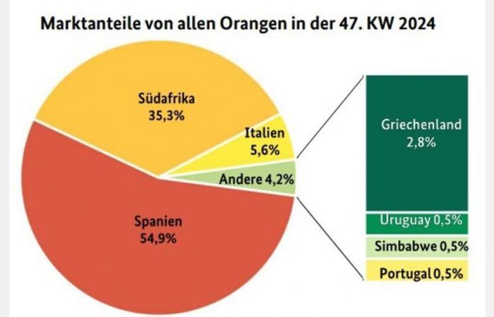 “The European assortment of oranges has relatively gained in importance”