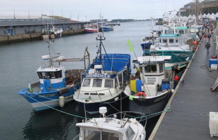 What we know about the search at the port of Lorient as part of a deal with Oman