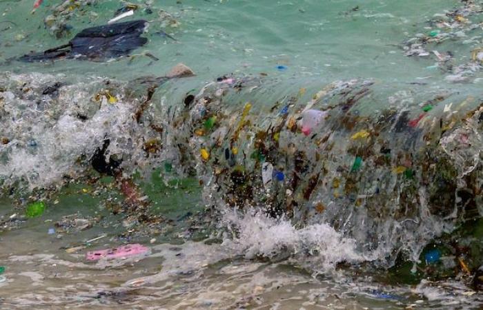 How to reduce inequalities in the face of plastic pollution? | The plastic enemy