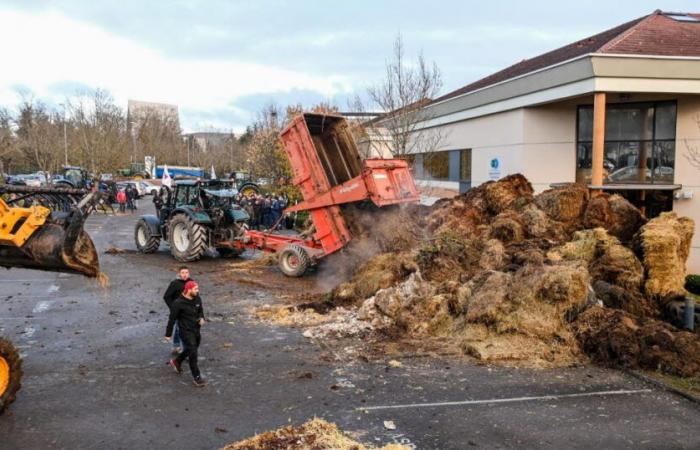 Agriculture. In Dijon, farmers denounce CAP payment delays