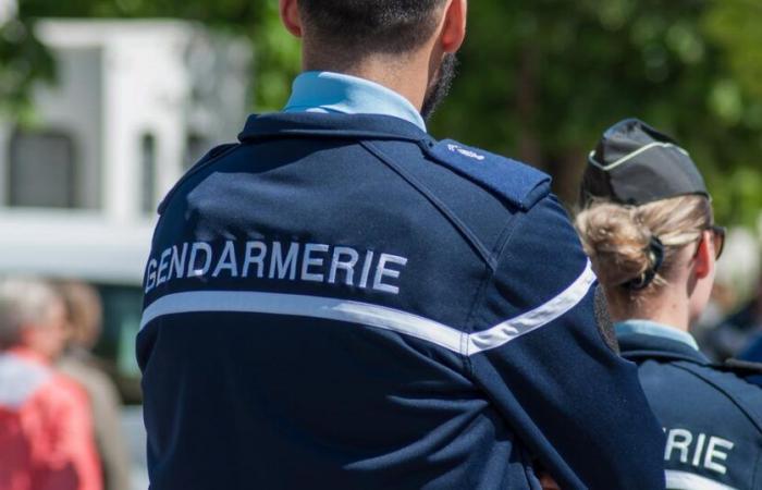 13-year-old teenager missing in Brittany: a hunt organized on Friday