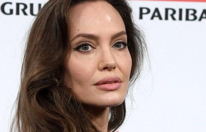 Brad Pitt and Angelina Jolie: “crucial evidence” concerning the actor's alleged abuse soon to be revealed