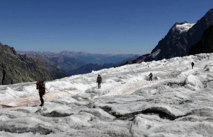 glaciers still in retreat in 2024 despite record snowfall