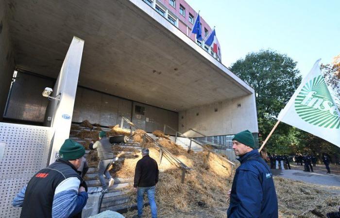 DIRECT. Anger of farmers: demonstration underway in Toulouse in front of the Administrative City, Inrae targeted in Paris