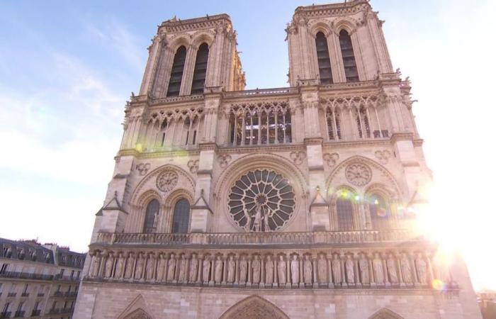 when the stone and trees of Hauts-de-France contribute to the construction site of the century