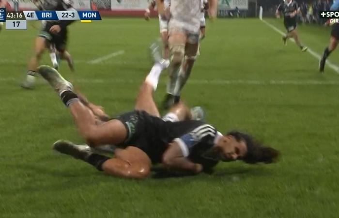 Pro D2 Brive – Montauban: match summary