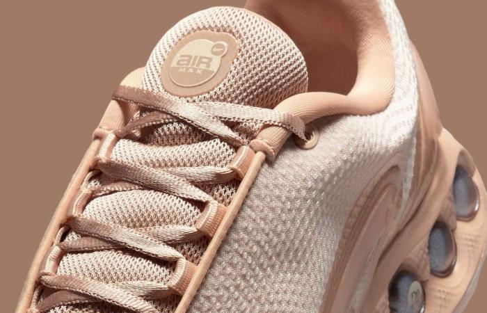 Nike Air Max Dn Bio Beige HQ3837-201