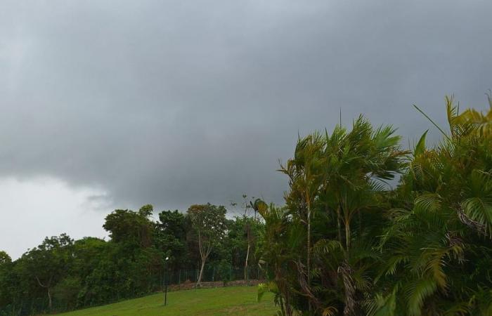 In Guyana the short rainy season is here