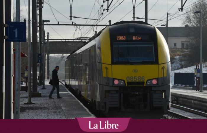 Serious accidents, technical hiccups, deletions… A difficult Friday for rail, SNCB takes stock