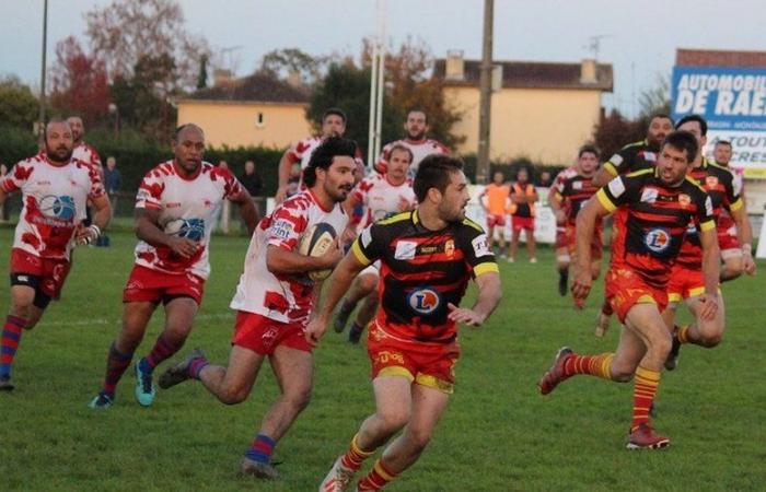 Montech rugby “poppies”: the match not to lose