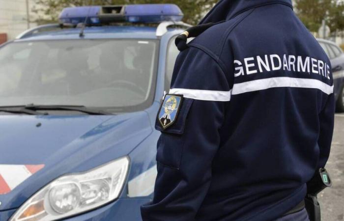 suspected of two murders in 1988 and 2000, the man left police custody in Grenoble