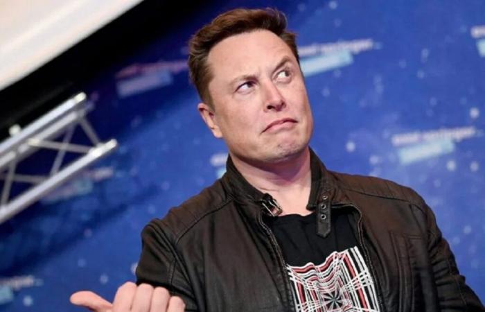 Elon Musk launches his video game studio to tackle “wokism”