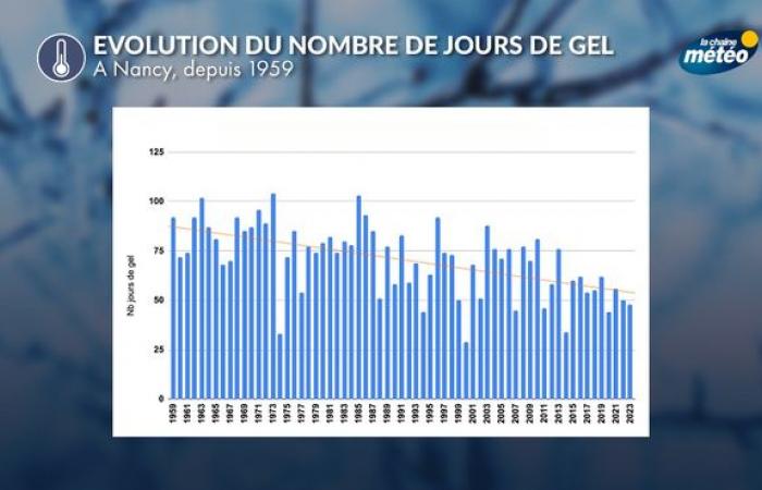 Meteorological winter begins on December 1: here are the characteristics of this season in France