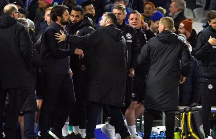 Albion boss Fabian Hurzeler and Russell Martin on bust-up