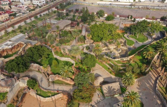 the long-awaited return of the Aïn Sebaa Zoological Park planned for June 2025