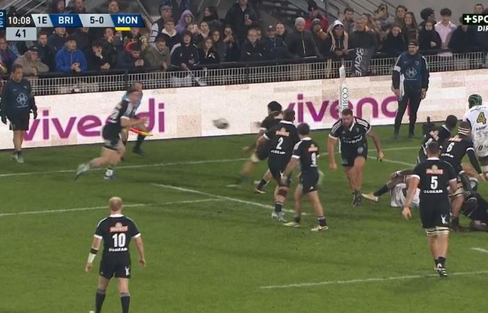 Pro D2 Brive – Montauban: match summary