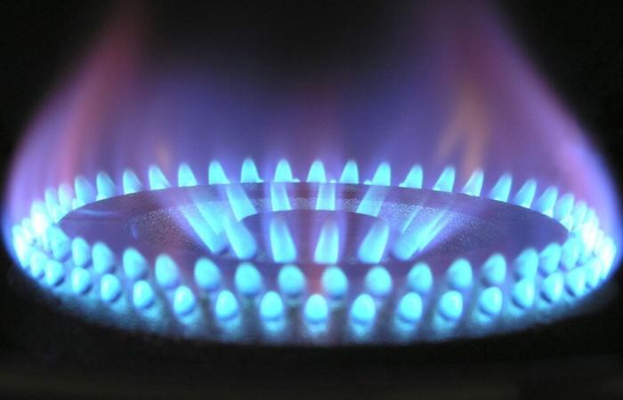 Tunisia: 95% of the first phase of the natural gas connection in Bizerte completed