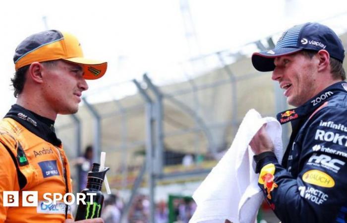 Lando Norris: Max Verstappen ‘should start doing comedy’