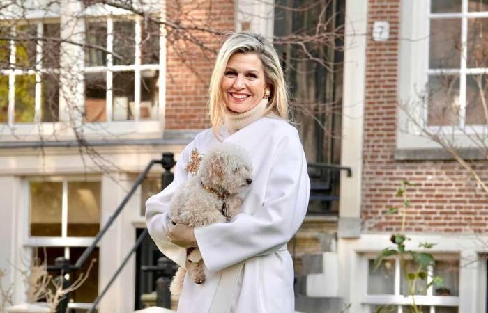 The Dutch royal family poses with their dog in the Amsterdam beguinage for the traditional end-of-year photo shoot