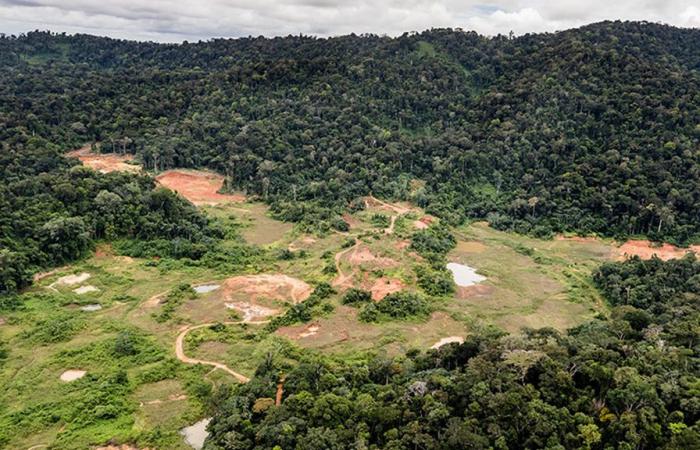 Environmental protection got the better of the Montagne d’Or industrial mine project in Guyana