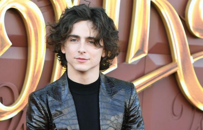 Timothee Chalamet Reveals 2 Big Movies He Auditioned For But Did Not Book & Explains What Went Wrong | auditions, Casting, Movies, Timothee Chalamet | Just Jared: Celebrity News and Gossip