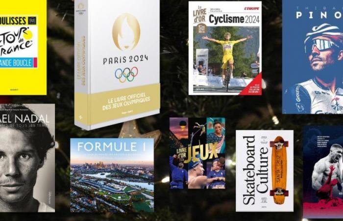 the selection of sports books to slip under the tree