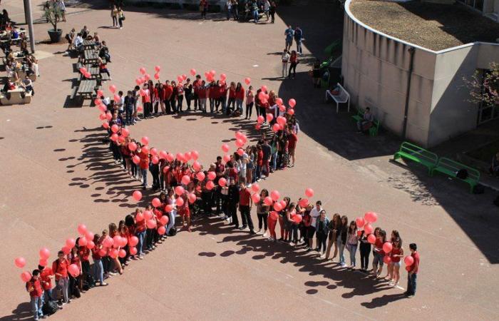 5,473 new HIV infections in France in 2023, 319 in Occitanie: “We must never relax”, warns Alain Makinson, infectious disease specialist