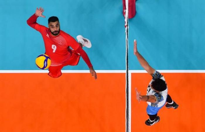 Barely arrived, Earvin Ngapeth leaves Poitiers and the French volleyball championship