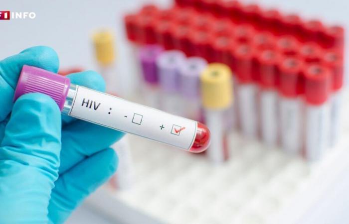 HIV: nearly 4,000 people infected in 2023 in France, a stable figure