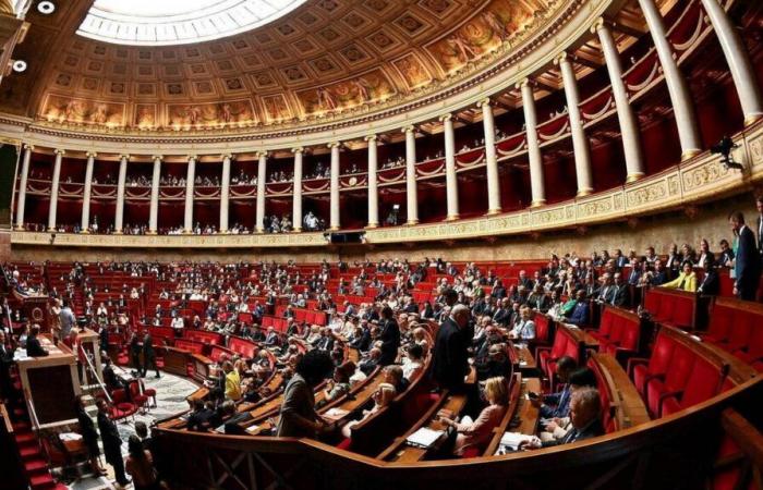 incident between deputies in the hemicycle