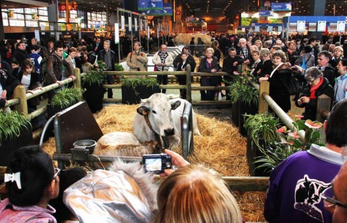 This department of Occitanie renounces the Paris Agricultural Show to save money