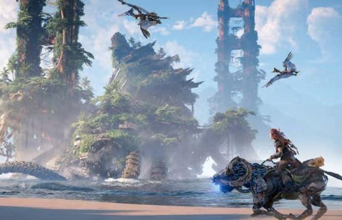 This Copy Of Horizon Zero Dawn Is Just Begging For Sony To Sue