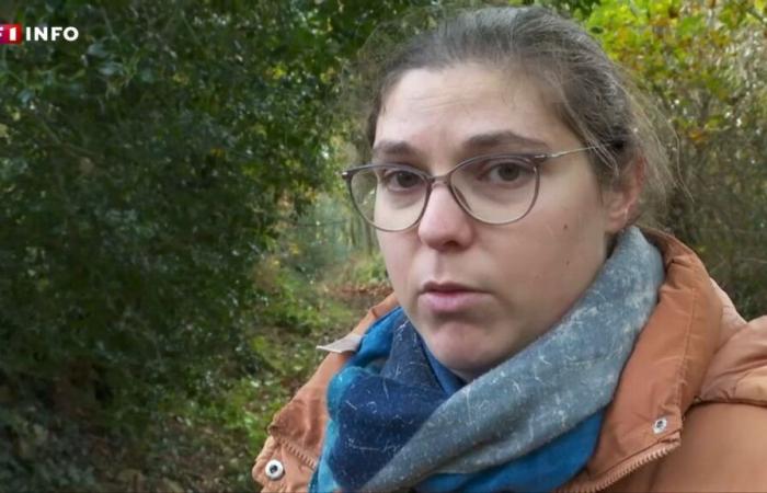 “We really want you to come back”: the call from the mother of Morgane, 13, missing since Monday near Guingamp