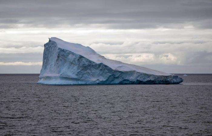 Situation on board escalates: cruise guests go on hunger strike in protest