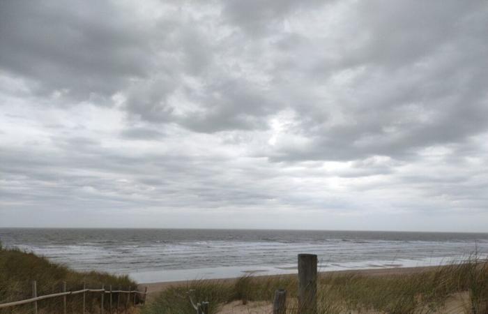 What will the weather be like for the first weekend of December in Vendée?