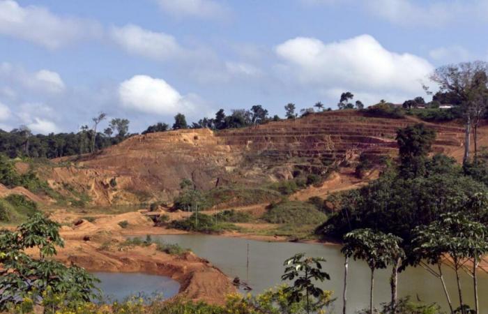 Montagne d'Or: justice blocks the mining project – Mo News