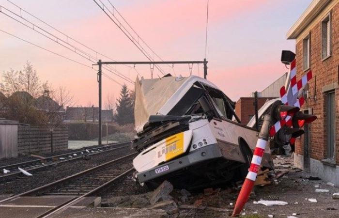 Train rams scheduled bus that got stuck on the tracks: “There were 20 children on board, the driver avoided a disaster” (Zedelgem)