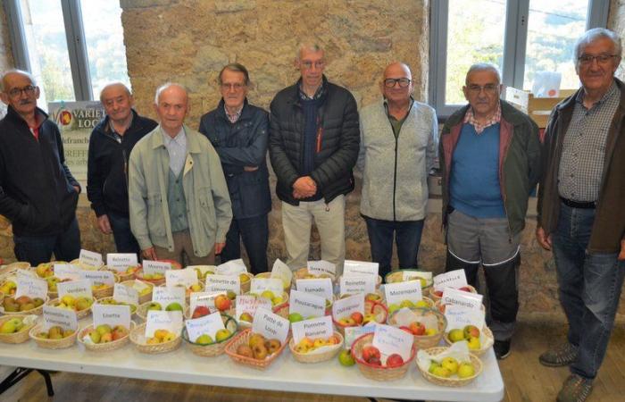 Salles-la-Source. Towards a book on the fruits of Aveyron with Local Varieties 12