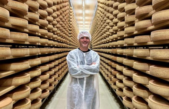 Without a club, Alex Frei became a cheese master