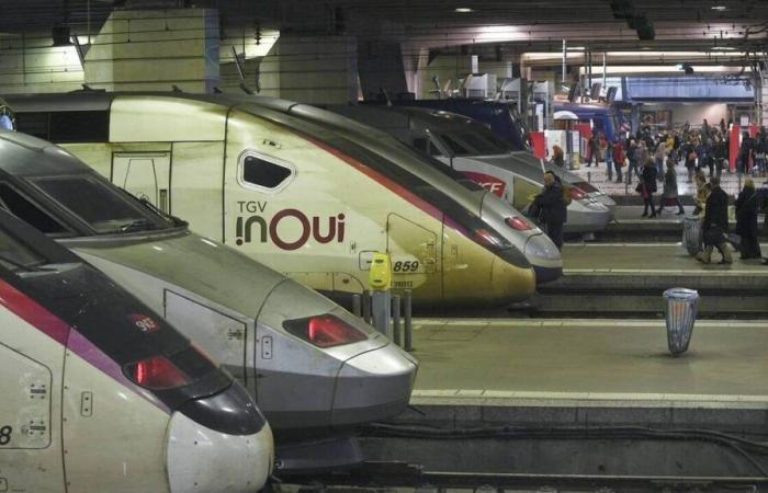 A person dies after being hit by a TGV near Le Mans