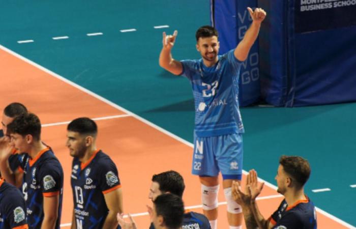 Corentin Phelut, the libero born in Montpellier, is living a dream in his favorite club